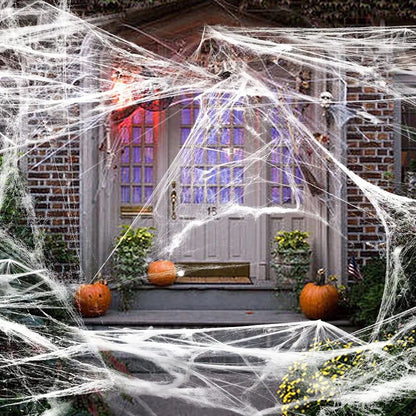 Halloween Spooky Spider Web